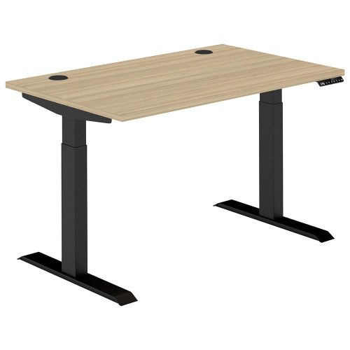 Altura Electric Height Adjustable Desk (No Screen)