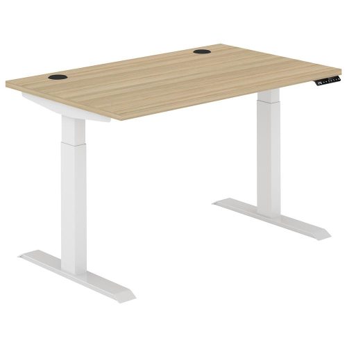 Altura Electric Height Adjustable Desk (No Screen)