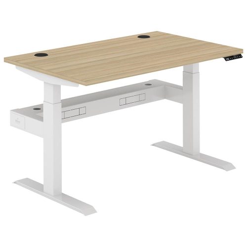 Altura Electric Height Adjustable Desk (No Screen)