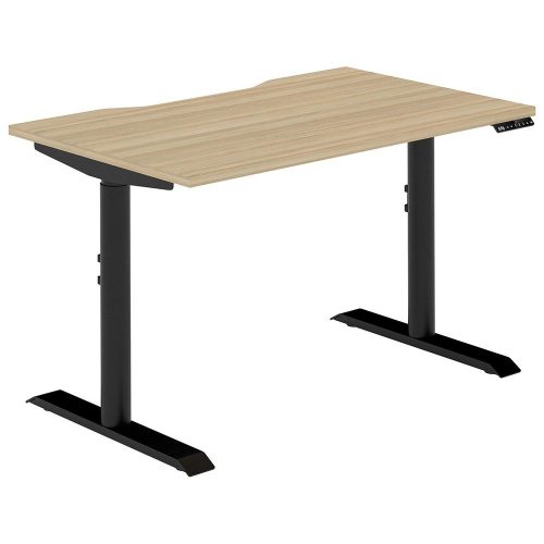 Altura Electric Height Adjustable Desk (No Screen)