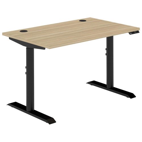 Altura Electric Height Adjustable Desk (No Screen)