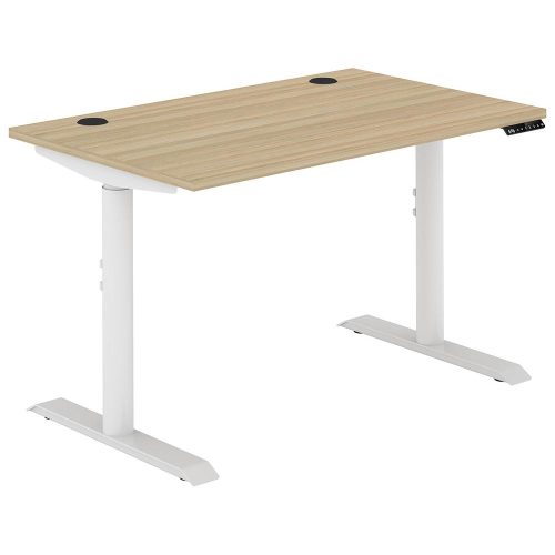 Altura Electric Height Adjustable Desk (No Screen)