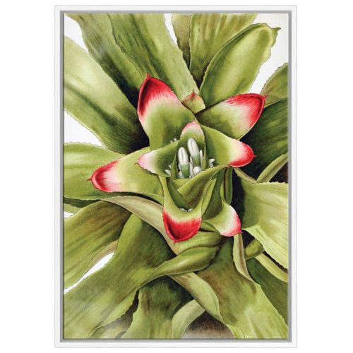 Corporate Artwork - #14 Bromelaid Watercolour Vertical