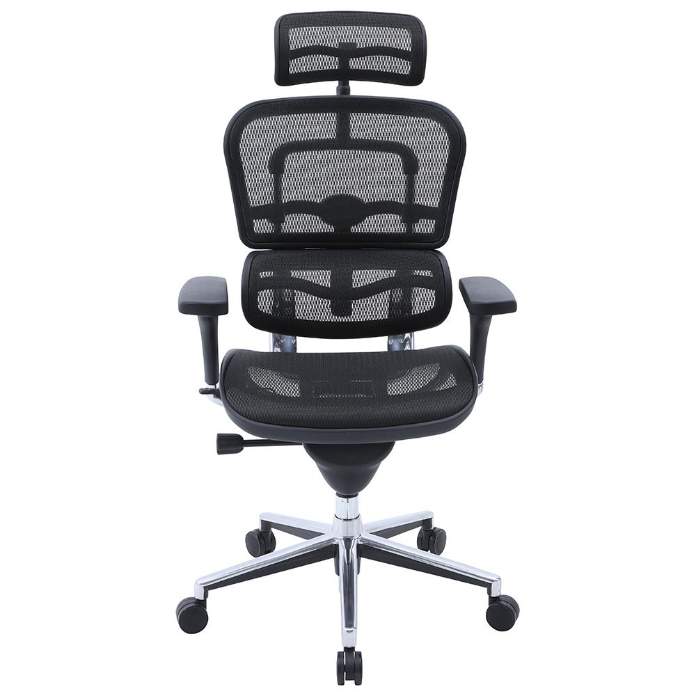 Ergohuman High Back Mesh Office Chair | Empire Furniture