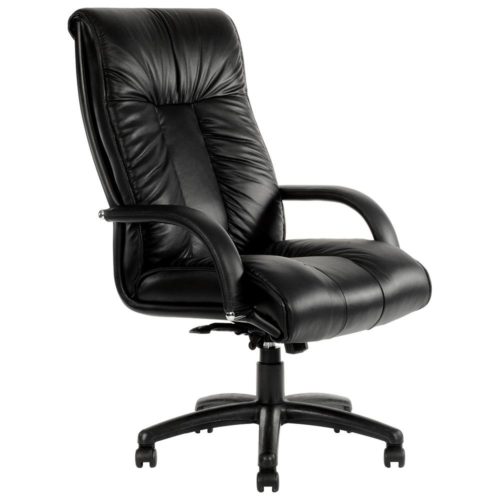 Ganim High Back Leather Executive Chair