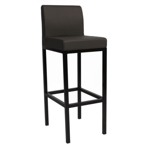 Solo Stool with Backrest Standard Height with Black Frame