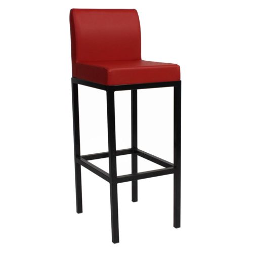 Solo Stool with Backrest with Black Frame