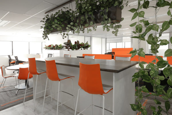 Wickham Terrace Level 8 (Orange) - 0W9A8005.jpg