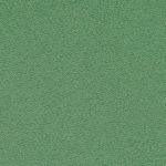 Suzette - Celery