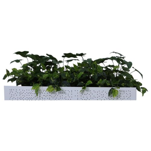 Built Strong Planter Box Low Height Greenery