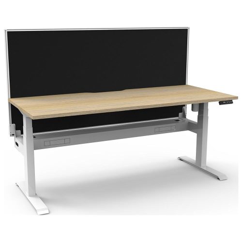 Lift Light Sit-Stand Desk with Screen