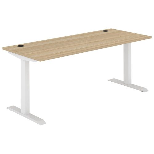 Altura Fixed Height Straight Workstation