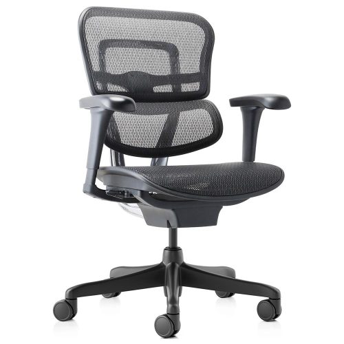Hum Medium Back Project Chair