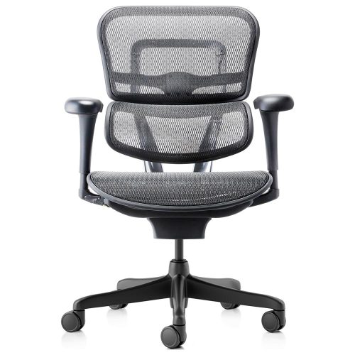 Hum Medium Back Project Chair