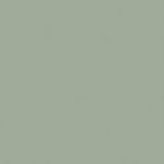 Bayleaf