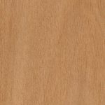 Blackbutt