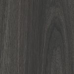 Midnight Oak
