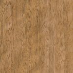 Spotted Gum